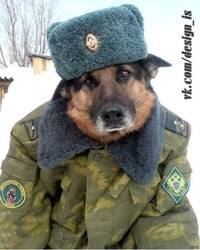 Еще раз о зверятах