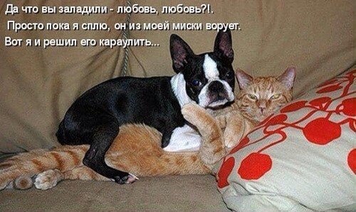 Давайте улыбнемся вместе