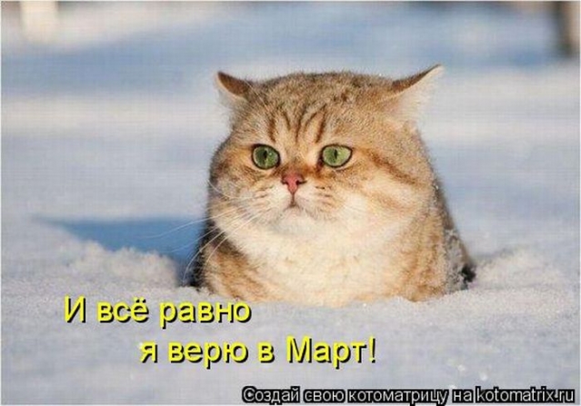 Благодарю.