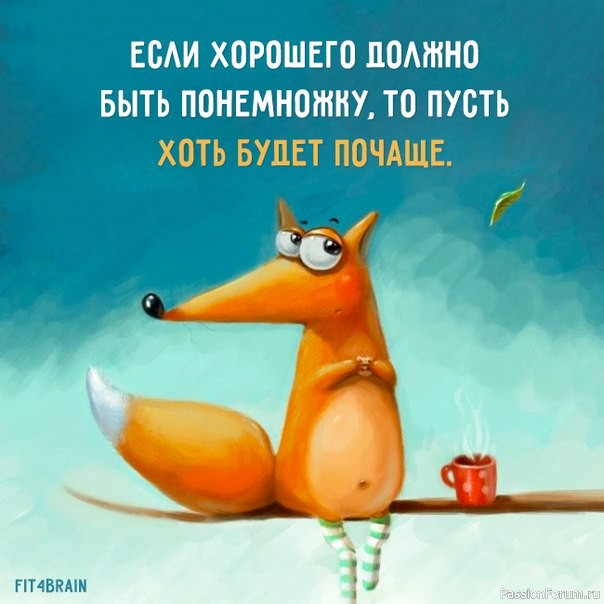 Розы Дэвида Остина в лентах.