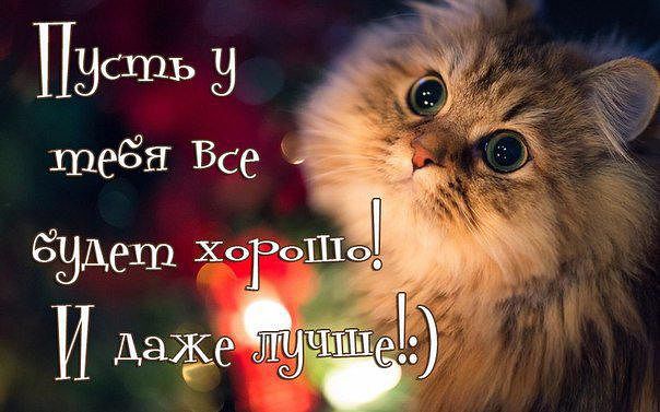 Поддержим подругу добрым словом.