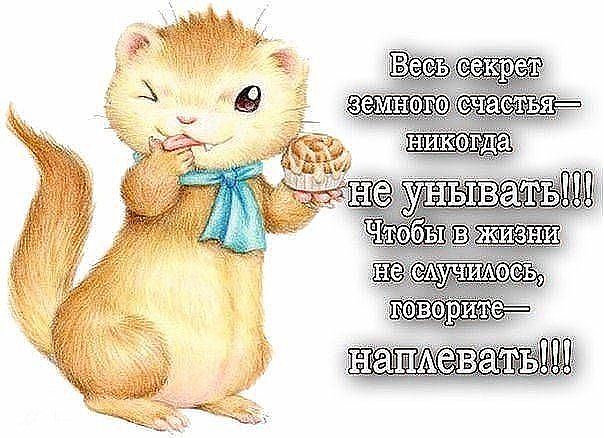 Мысли в картинках.