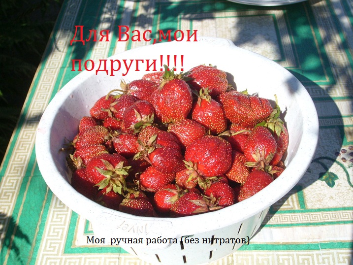 Воспоминания о лете.
