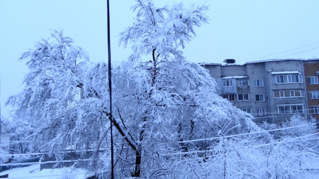 весна в Уссурийске