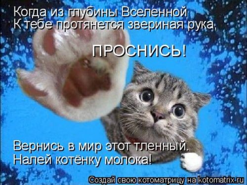 Итак,снова братья наши меньшие или КОТОМАТРИЦА для настроения!