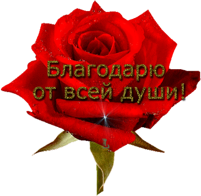 РАЗВЕ МОЖЕТ БЫТЬ МНОГО СЧАСТЬЯ?На моей страничке МОРЕ поздравлений!