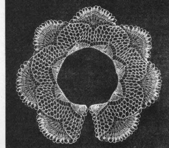 Ажурные воротнички спицами 2