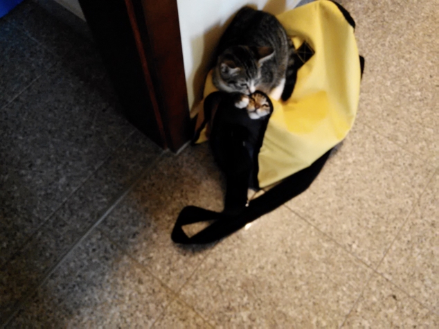 Кошмарики, продолжение.