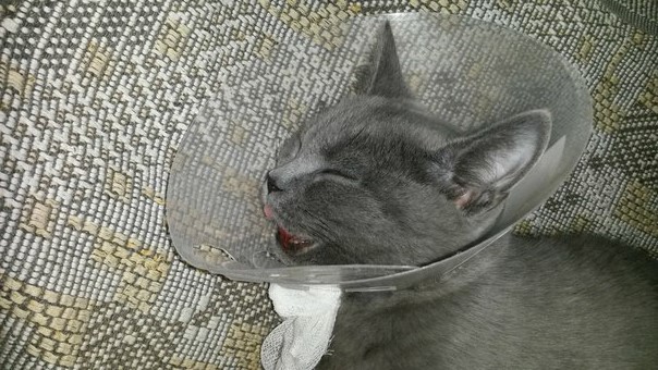 Откройте дверь, добрые люди 2