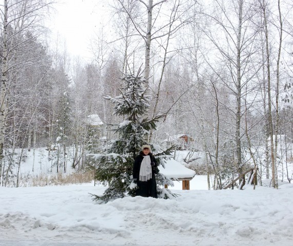 Зимний день в "Некотором царстве".