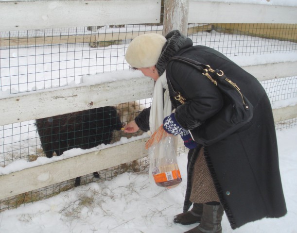 Зимний день в "Некотором царстве".