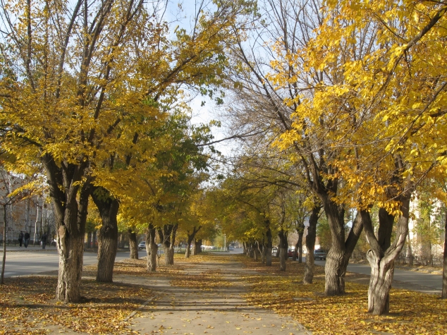 Осеннее вдохновение.Фотографии.