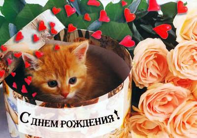 Наталья! Принимай наши поздравления!