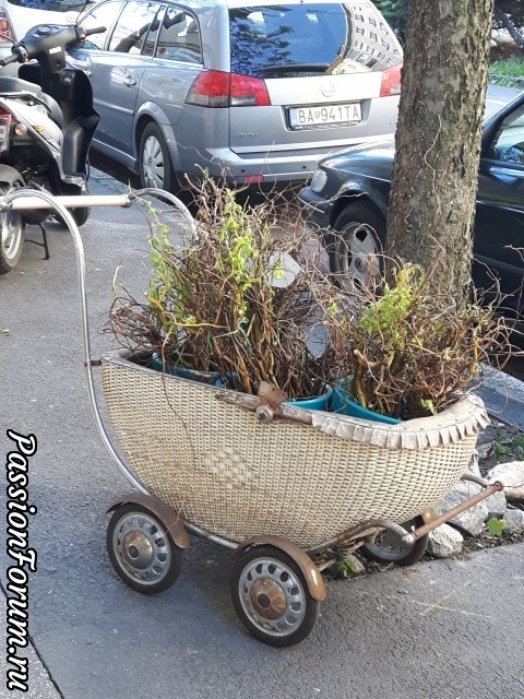 Такая она, Моя Братислава!...