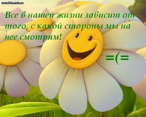 Дружба- великое дело!
