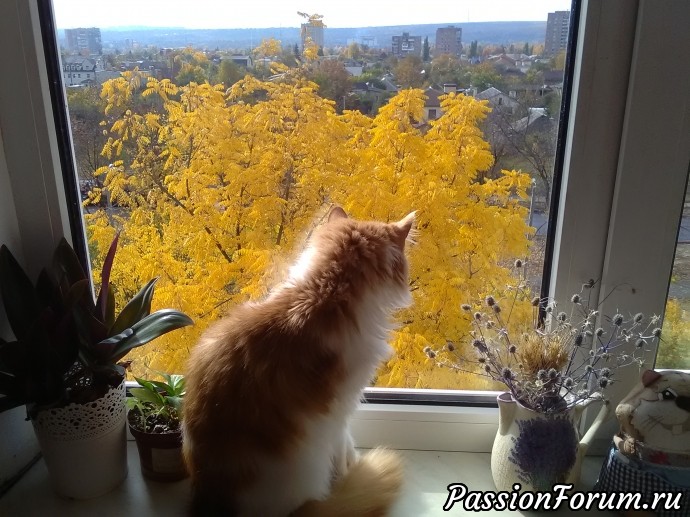 |
Ну ничего, скоро лето, а там и осень не за горами, повеселее за окошком будет) |
Ну ничего, скоро лето, а там и осень не за горами, повеселее за окошком будет)