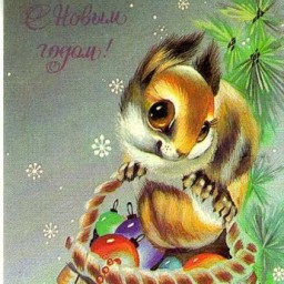 mismarpl mismarpl