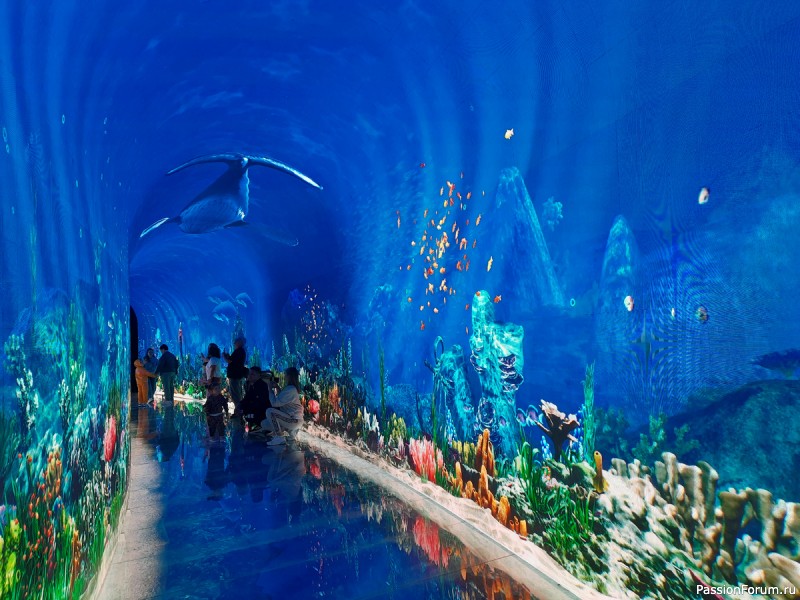 "Кроличья нора" в парке С. Галицкого