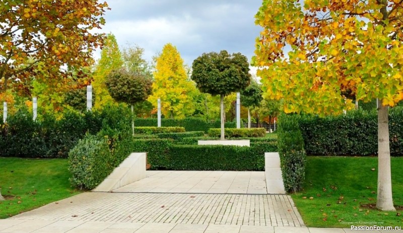 Уж небо осенью дышало...