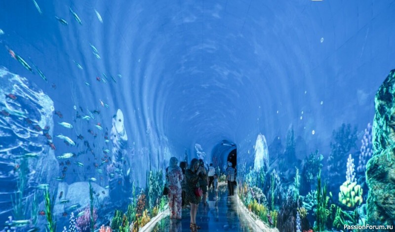 "Кроличья нора" в парке С. Галицкого