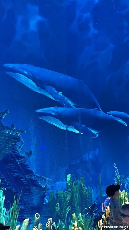 "Кроличья нора" в парке С. Галицкого