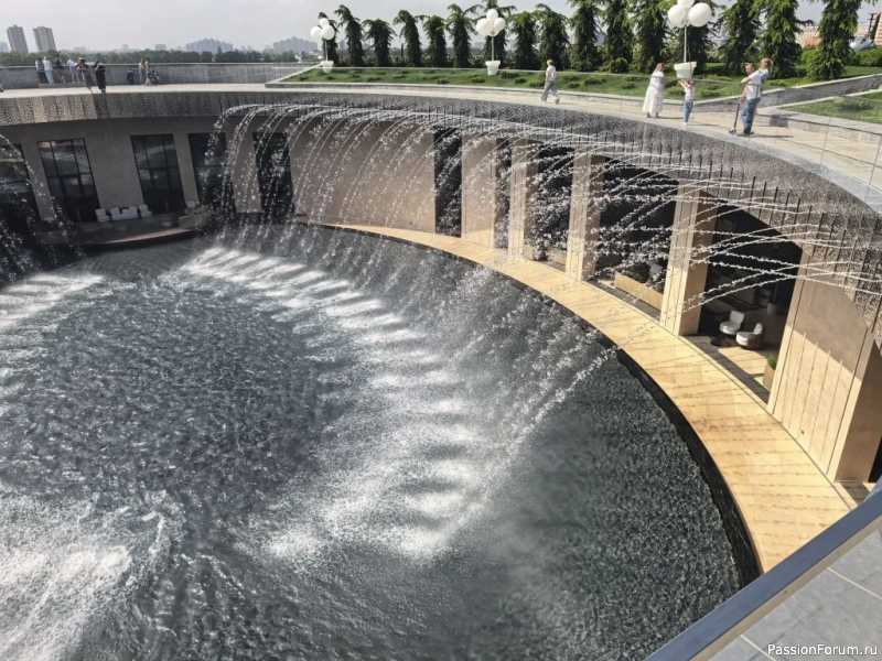 Дымка розовая и дымка водяная в парке Галицкого.