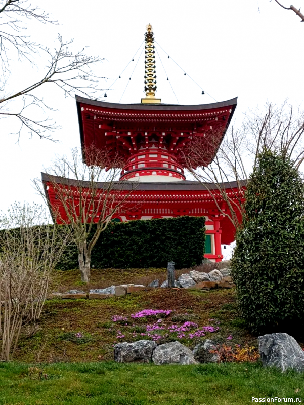 Японский сад в парке С. Галицкого. Конец марта.