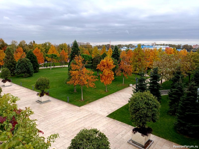 Красота осеннего парка