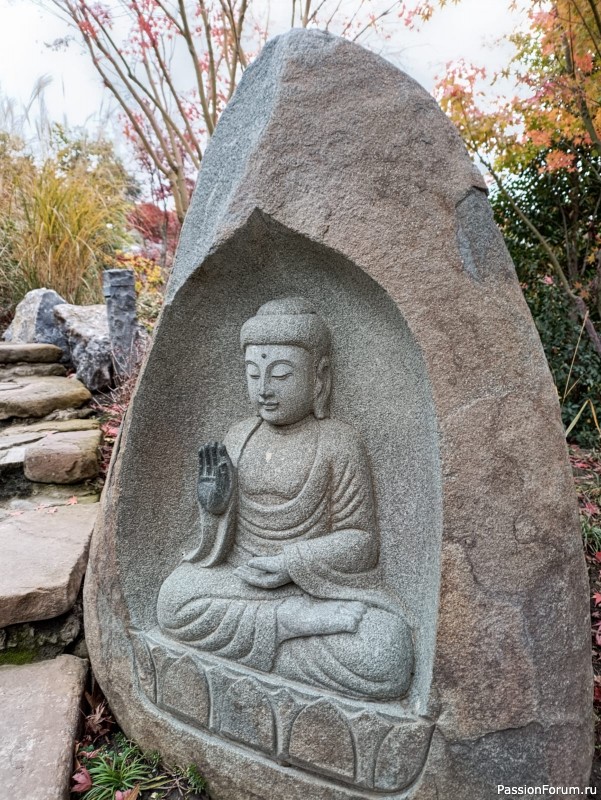 Немного хокку и много осени японского сада.