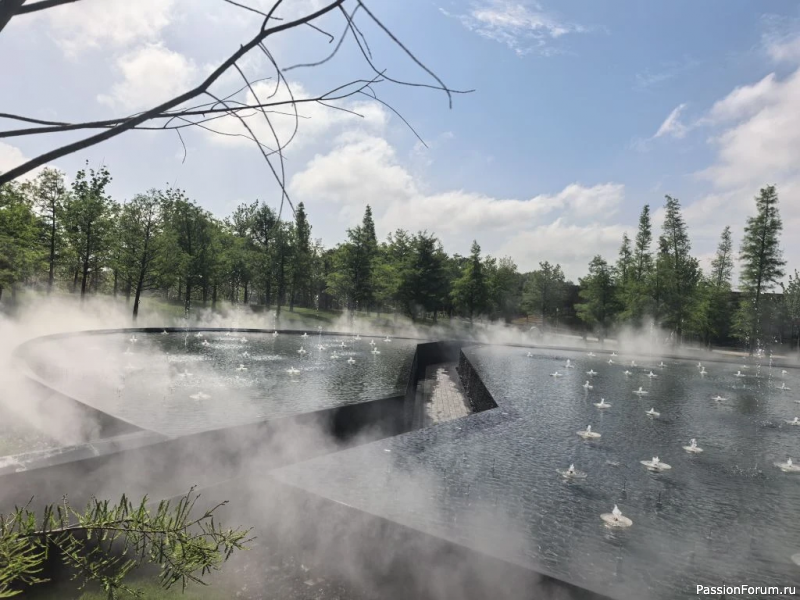 Дымка розовая и дымка водяная в парке Галицкого.