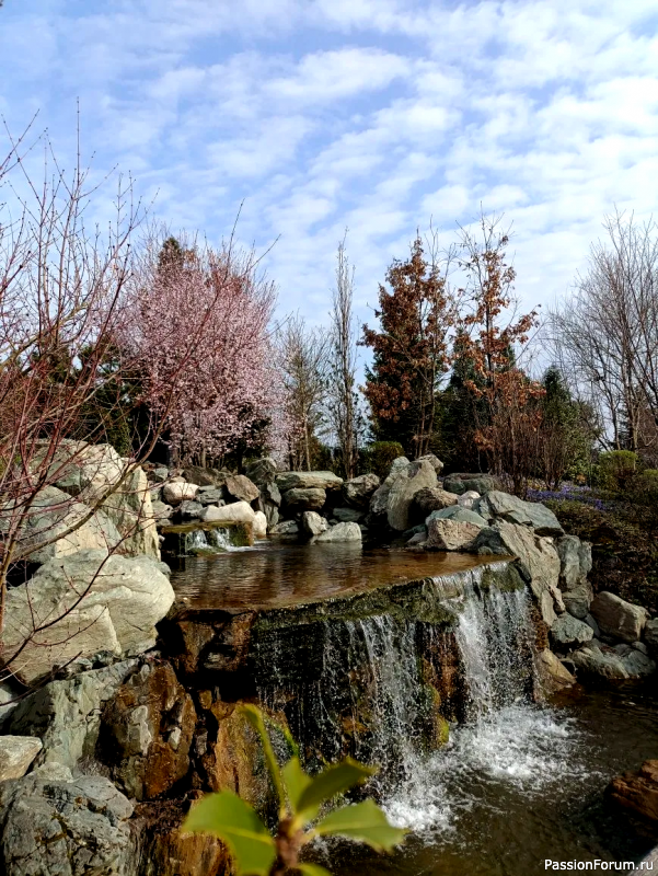 Японский сад в парке С. Галицкого. Конец марта.