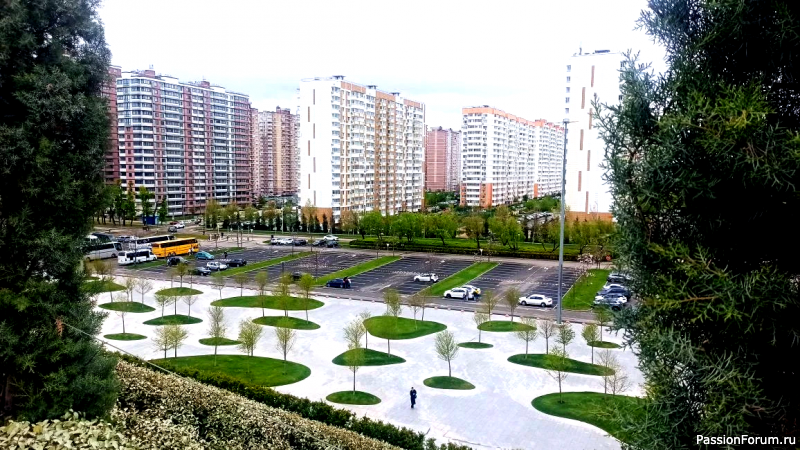 Дымка розовая и дымка водяная в парке Галицкого.