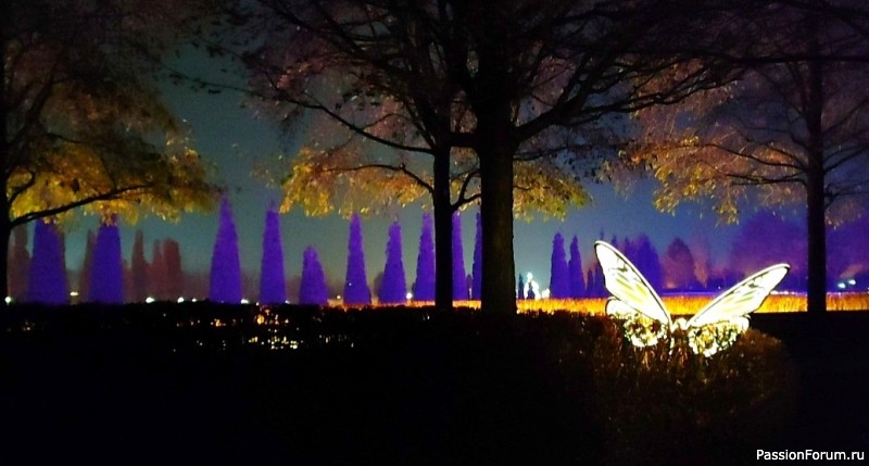 Новогоднее убранство парка