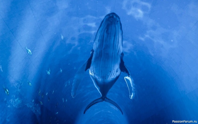 "Кроличья нора" в парке С. Галицкого