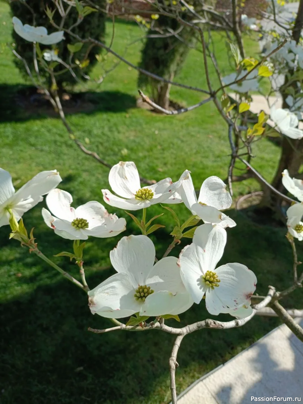 Каньон в парке С. Галицкого