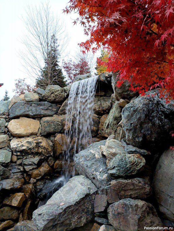 Немного хокку и много осени японского сада.