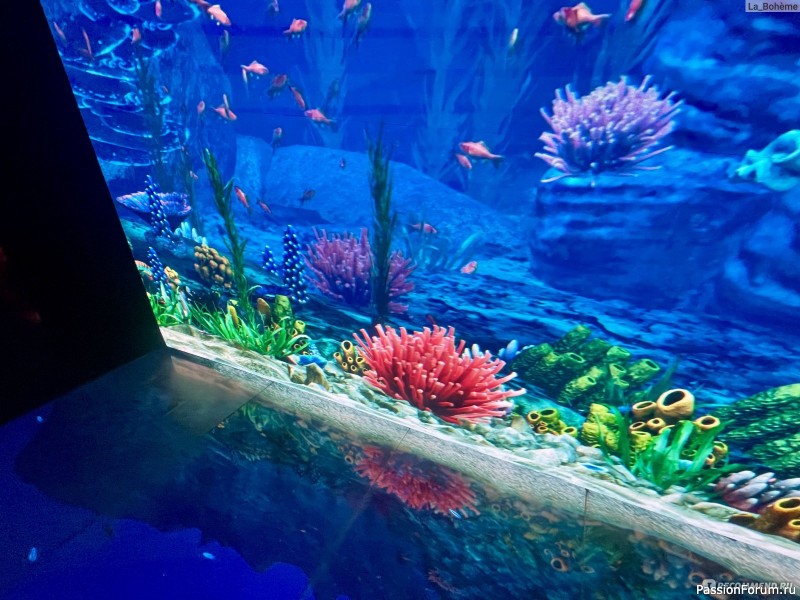 "Кроличья нора" в парке С. Галицкого