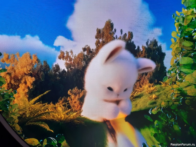 "Кроличья нора" в парке С. Галицкого