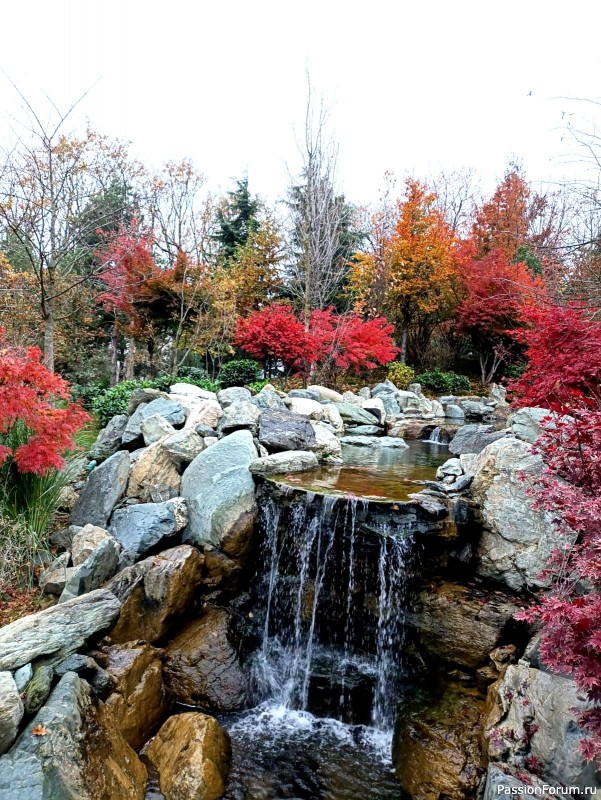Немного хокку и много осени японского сада.