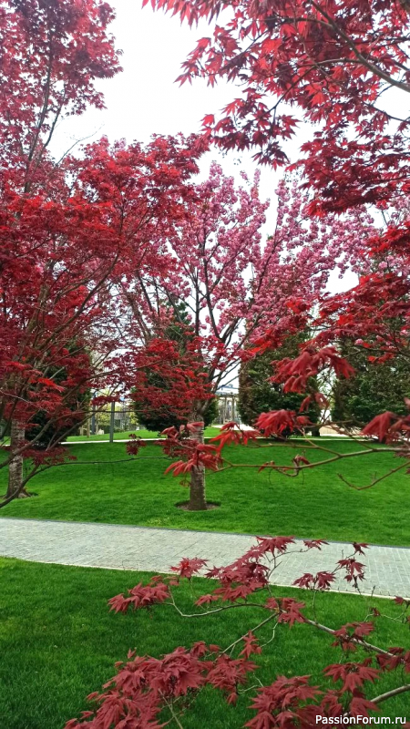 Каньон в парке С. Галицкого