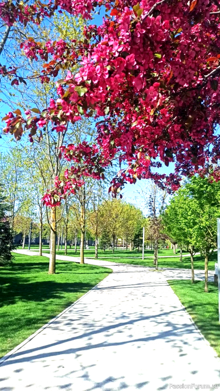 Каньон в парке С. Галицкого