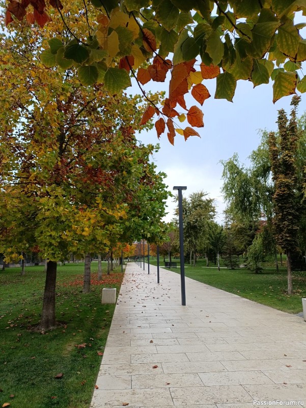 Красота осеннего парка