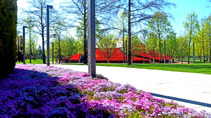 Каньон в парке С. Галицкого