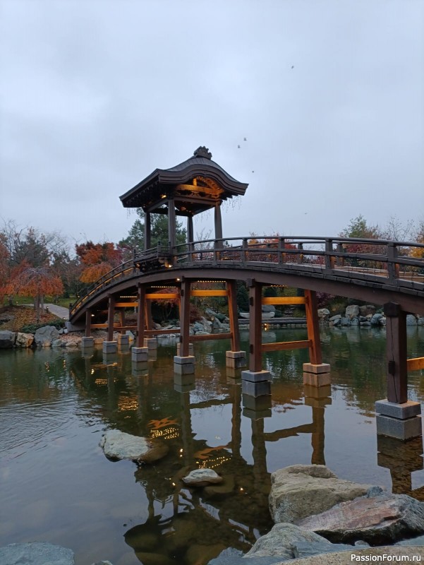 Немного хокку и много осени японского сада.