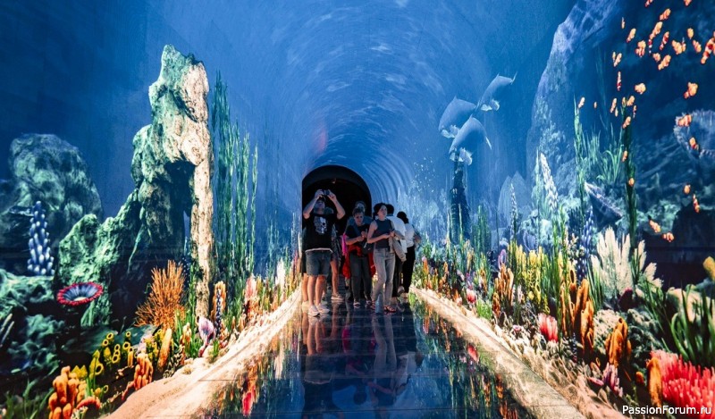 "Кроличья нора" в парке С. Галицкого