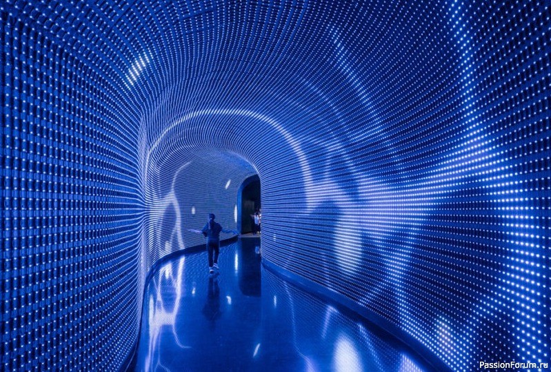 "Кроличья нора" в парке С. Галицкого