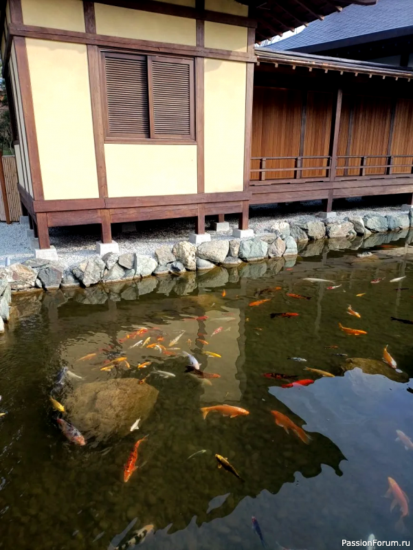 Японский сад в парке С. Галицкого. Конец марта.