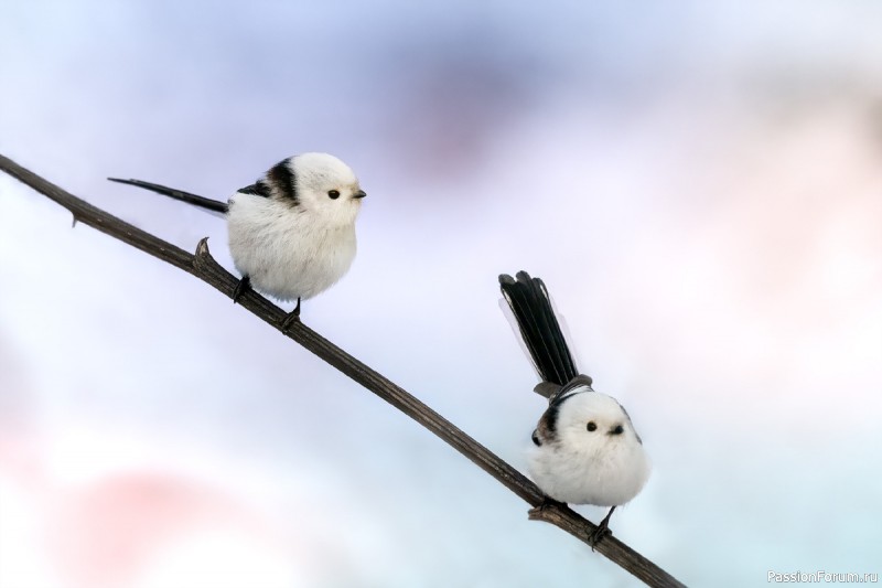 Парк зацвел