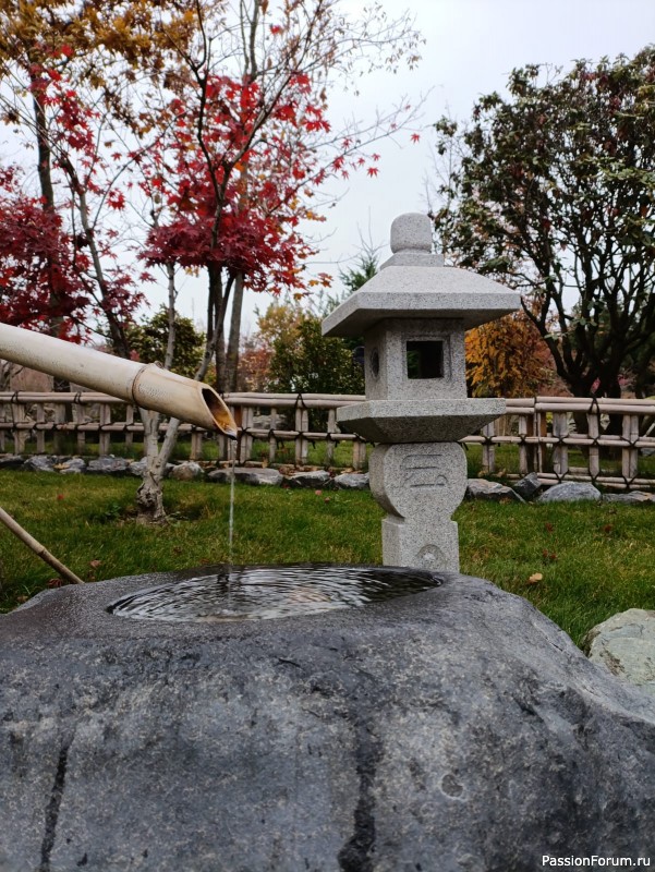 Немного хокку и много осени японского сада.