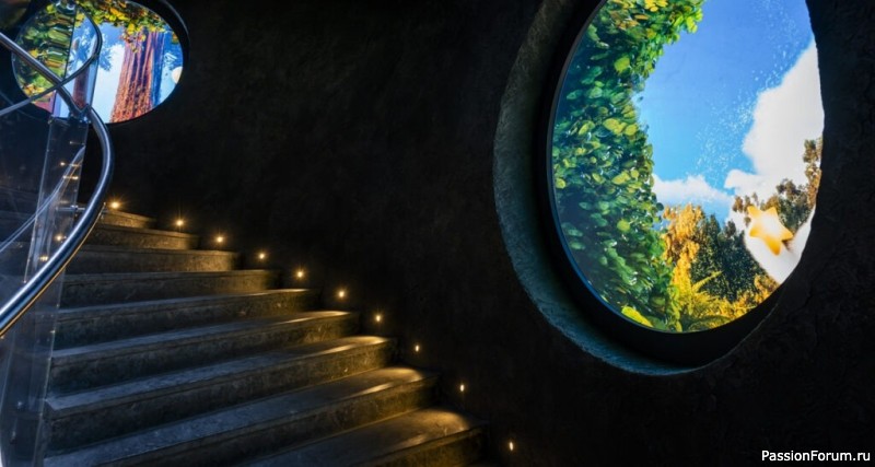 "Кроличья нора" в парке С. Галицкого